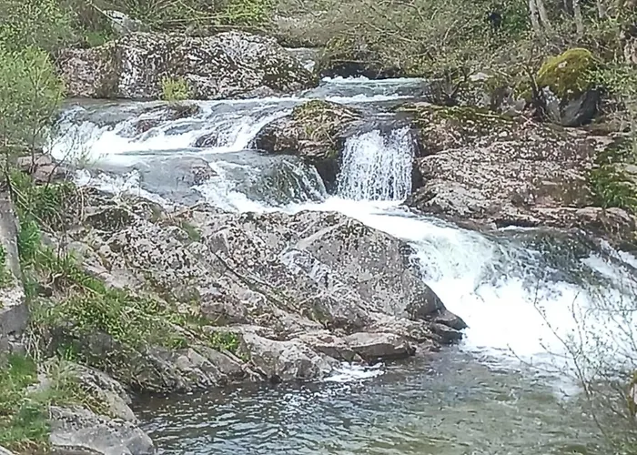Hébergement de vacances Les Petites Fustes Dans La Prairie *